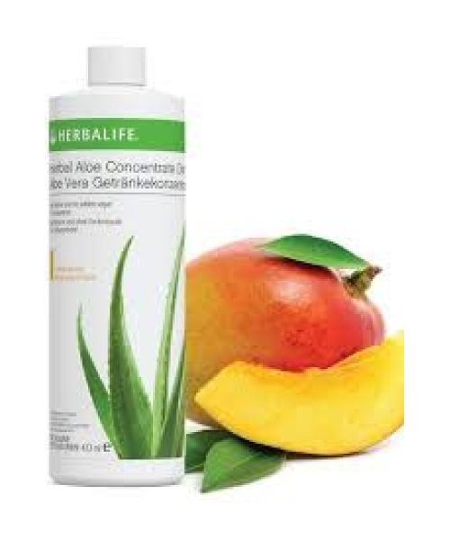 Herbalife Herbal Aloe Konsantre Icecek Mango Aroma 473ml