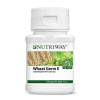 Amway Wheat Germ E 180 Tablet Vitamin Nutriway